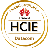HCIE Datacom